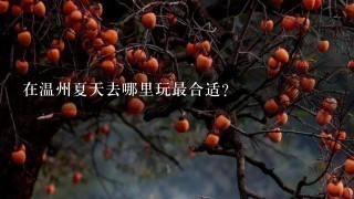 在温州夏天去哪里玩最合适？