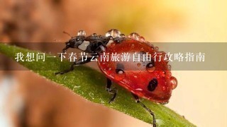 我想问1下春节云南旅游自由行攻略指南