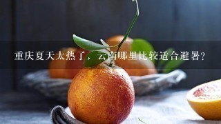 重庆夏天太热了，云南哪里比较适合避暑？