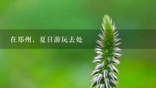 在郑州，夏日游玩去处