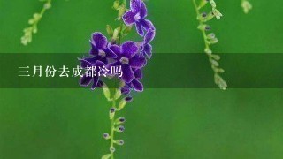 3月份去成都冷吗