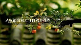 从成都出发2日自驾游推荐1下？