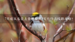 7月底从东莞去贵州旅游4天有什么线踏攻略？