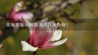 张家界旅游团报名3日游价格？