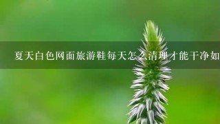 夏天白色网面旅游鞋每天怎么清理才能干净如新？