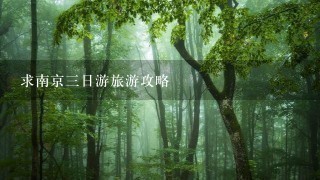 求南京3日游旅游攻略