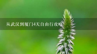 从武汉到厦门4天自由行攻略