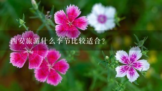 西安旅游什么季节比较适合？