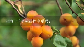 云南1千多旅游团靠谱吗？