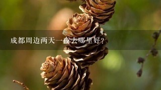 成都周边两天1夜去哪里好？