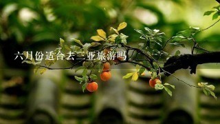 6月份适合去3亚旅游吗