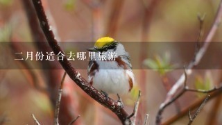 2月份适合去哪里旅游