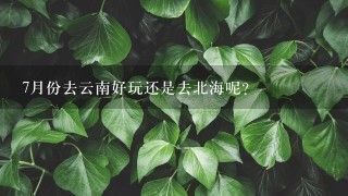 7月份去云南好玩还是去北海呢?