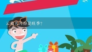 云南几月份是旺季?