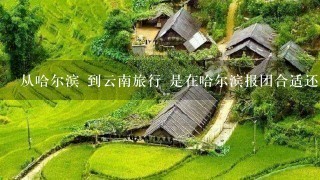 从哈尔滨 到云南旅行 是在哈尔滨报团合适还是去云南当地合适？ 谢谢