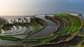 3月去桂林旅游