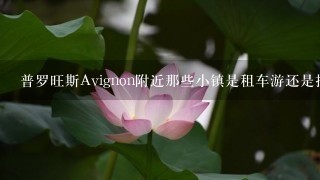 普罗旺斯Avignon附近那些小镇是租车游还是报团游好呢？