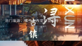 出门旅游，哪些东西是必需品呀？