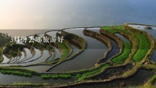 3月份去哪旅游好