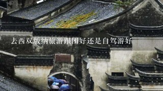 去西双版纳旅游跟团好还是自驾游好