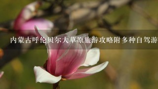 内蒙古呼伦贝尔大草原旅游攻略附多种自驾游路线行程