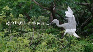 鼓浪屿游什么特色景点？