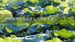 暑期去北京自驾游自由行怎么样？