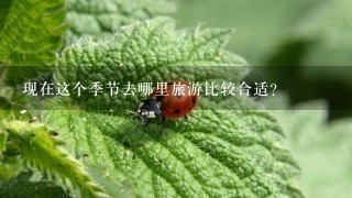 现在这个季节去哪里旅游比较合适？