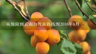 从绵阳到云南自驾游路线图2016年8月