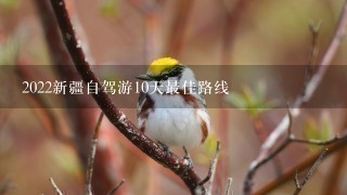 2022新疆自驾游10天最佳路线