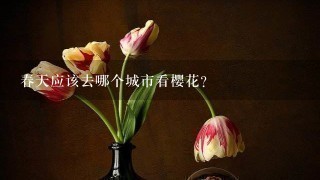 春天应该去哪个城市看樱花？