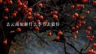 去云南旅游什么季节去最好