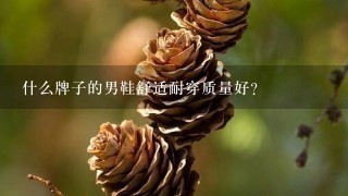 什么牌子的男鞋舒适耐穿质量好？