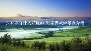 张家界有什么好玩的 张家界旅游景点介绍