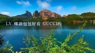 LV 哪款包包好看 GUCCI的