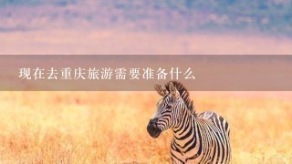 现在去重庆旅游需要准备什么