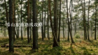 泰山旅游路线攻略