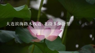 大连滨海路木栈道 北段多少公里