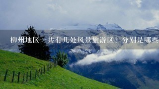 柳州地区1共有几处风景旅游区？分别是哪些？