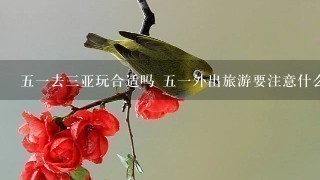 51去3亚玩合适吗 51外出旅游要注意什么