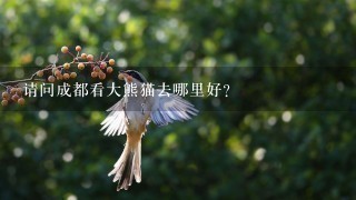 请问成都看大熊猫去哪里好？