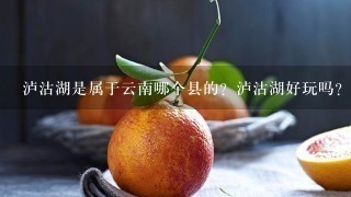 泸沽湖是属于云南哪个县的？泸沽湖好玩吗？