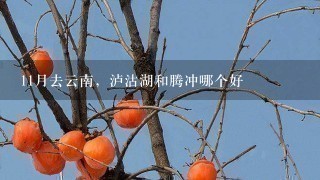 11月去云南，泸沽湖和腾冲哪个好