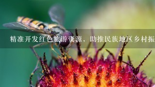 精准开发红色旅游资源，助推民族地区乡村振兴