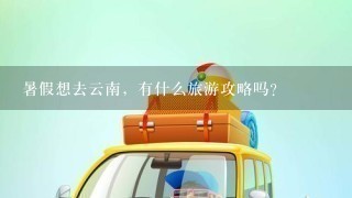 暑假想去云南，有什么旅游攻略吗？