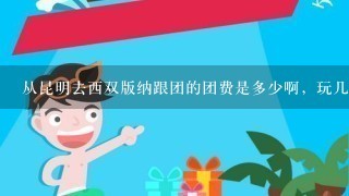 从昆明去西双版纳跟团的团费是多少啊，玩几天