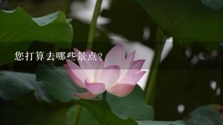 您打算去哪些景点？