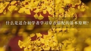 什么是适合初学者学习穿衣搭配的基本原则？