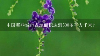 中国哪些城市占地面积达到300多平方千米