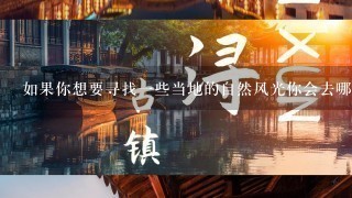 如果你想要寻找一些当地的自然风光你会去哪个景区为什么选择这里